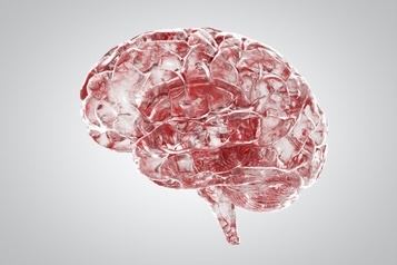 November 2025: The Blood-Brain Barrier: Approaches for Antibody Biologic Delivery