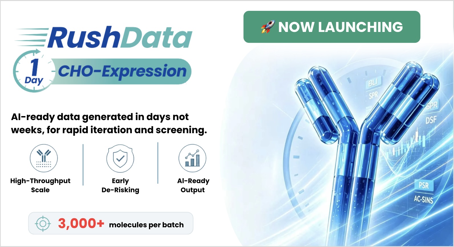 rushdata email 1.jpg
