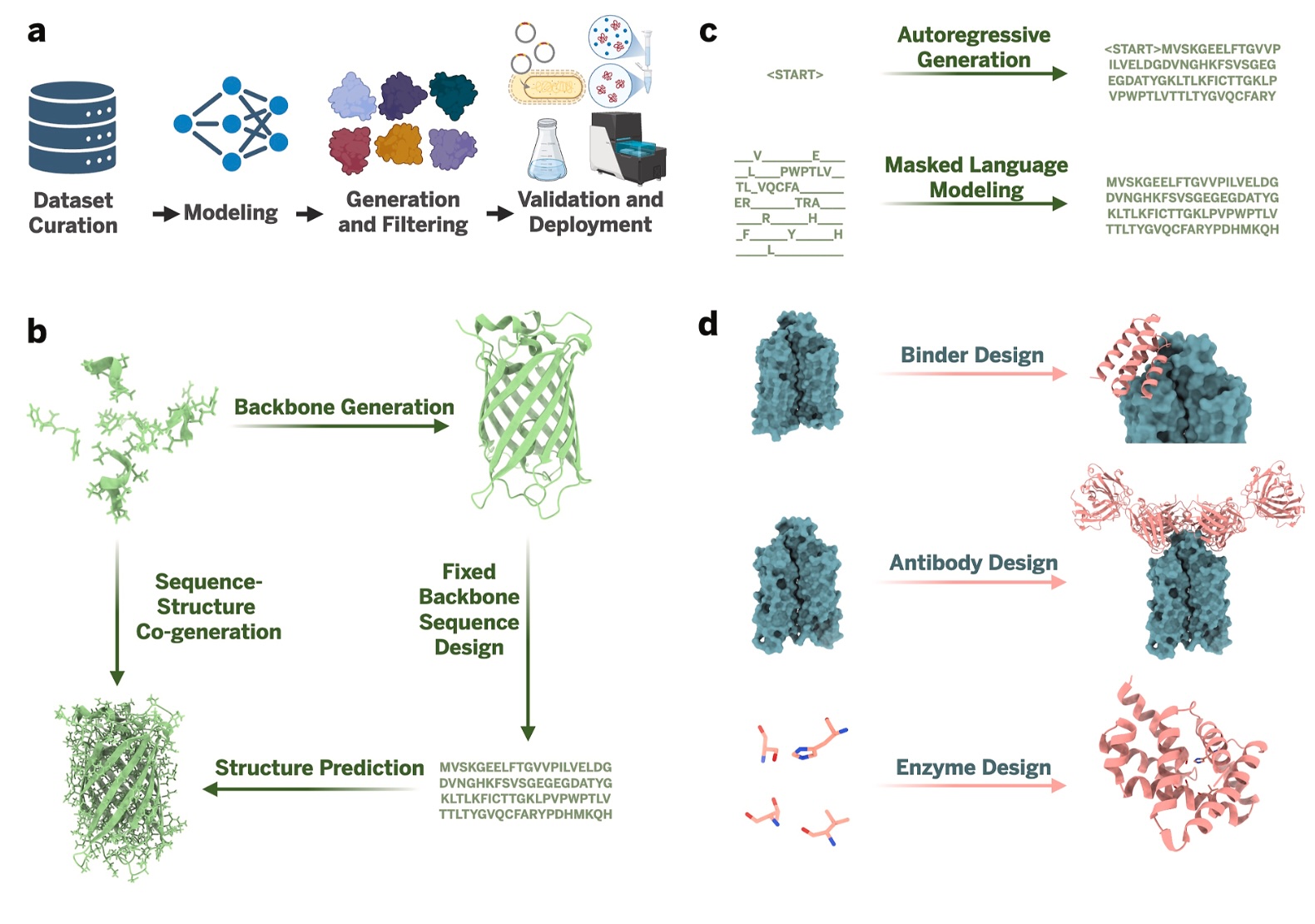 From AI-Designed Sequences to Experimental Data: Closing the Antibody Validation Gap